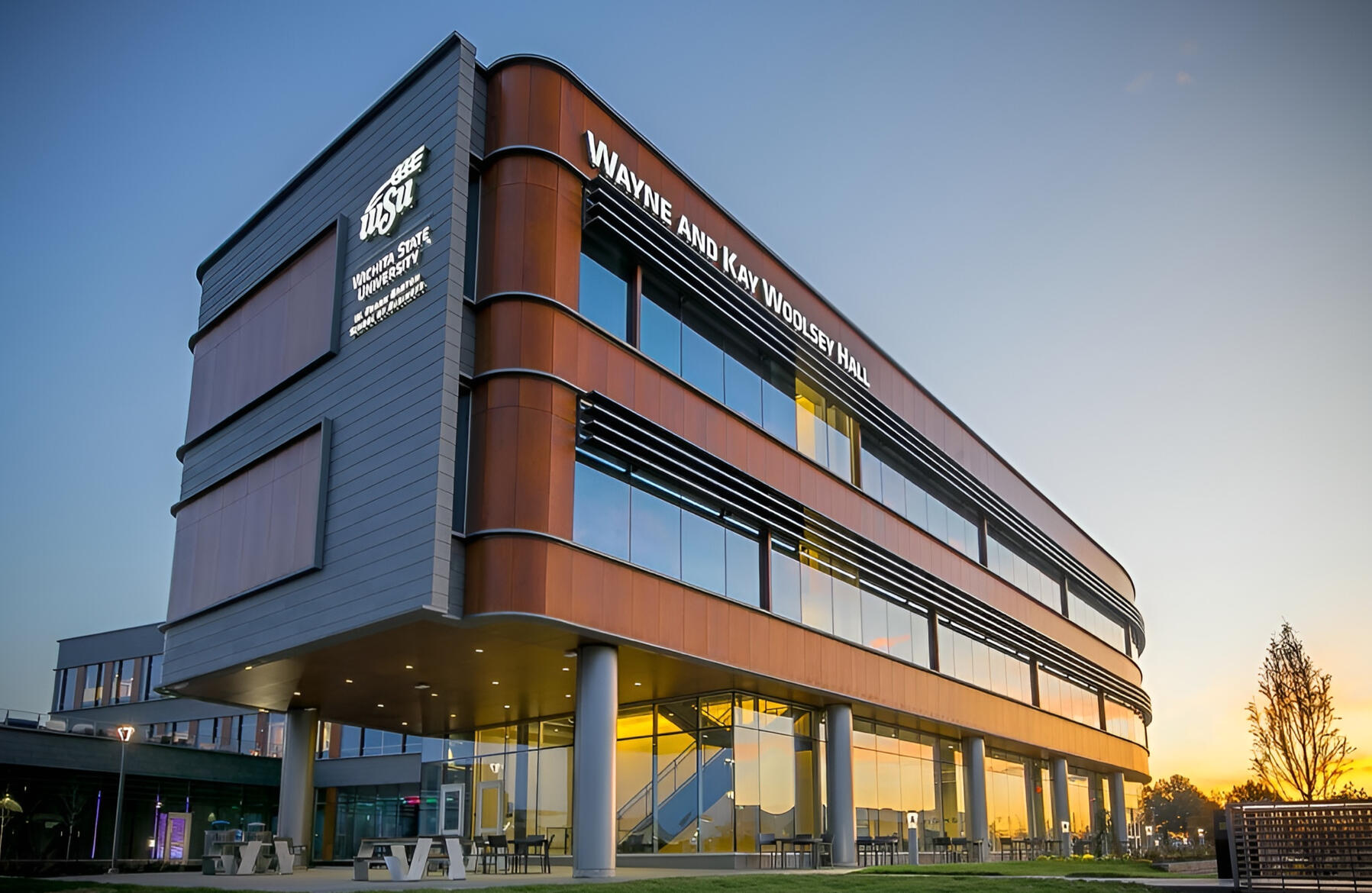 Professional Experience